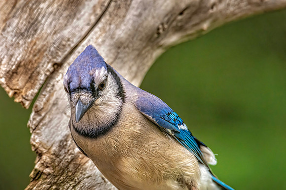 _7206607-Edit.jpg