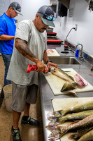 _7203870-Edit.jpg