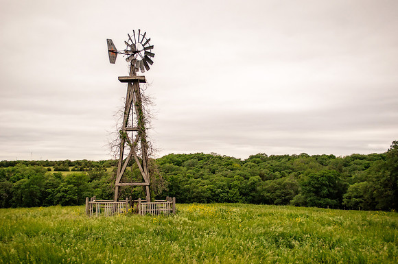 DSC_7490-Edit