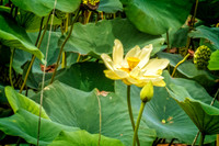 _DSC6270-Edit.jpg