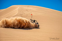 Rearing Up The Dunes