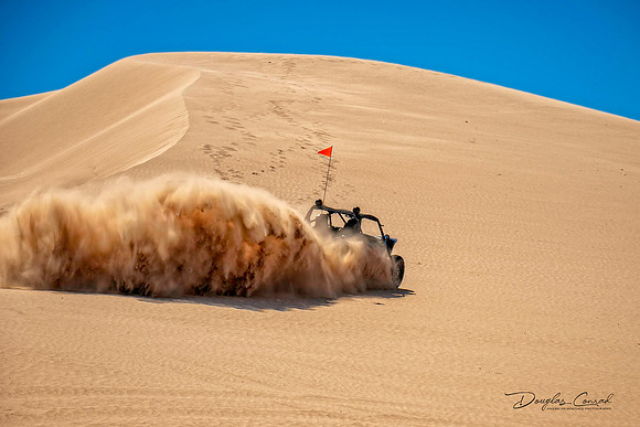 Rearing Up The Dunes