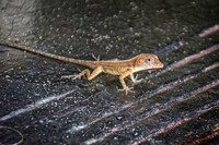 _7205385-Edit.jpg