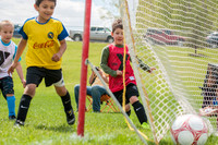Brock Soccer-12