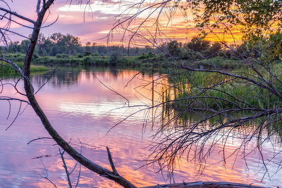 _DSC6313-HDR-Edit.jpg