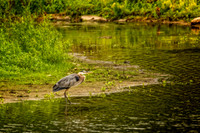 _DSC5354-Edit.jpg