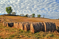 DSC_5306-Edit
