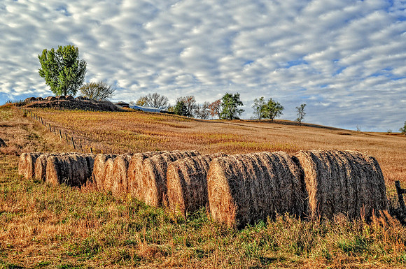 DSC_5306-Edit