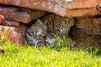 _7205040-Edit.jpg