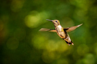 Hovering