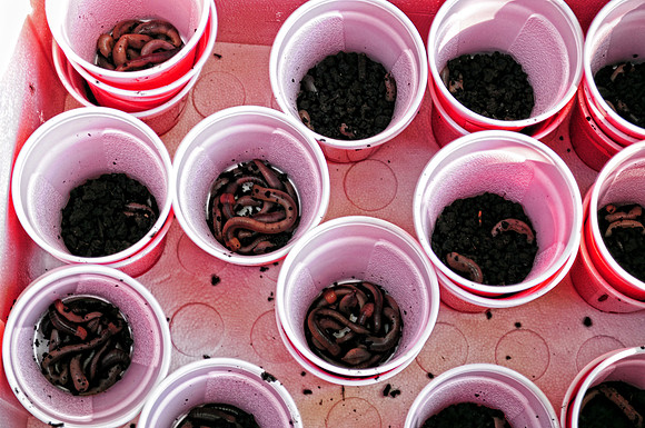 Pheasants Forever Fishing Derby 2012