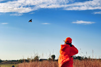 Pheasants Forever Youth Mentor Hunt 2011