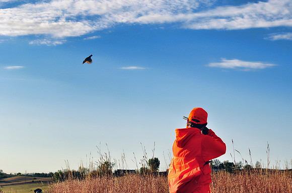 Pheasants Forever Youth Mentor Hunt 2011