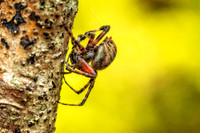 _7209623-Edit-Edit.jpg