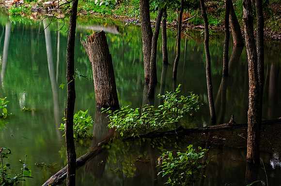 _DSC7972-Edit-2.jpg
