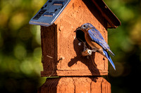 _7209467-Edit.jpg