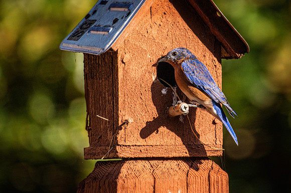 _7209467-Edit.jpg