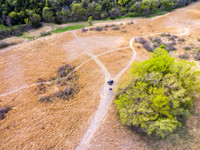 DJI_0229-Edit.jpg