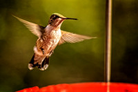 _DSC7362-Edit.jpg