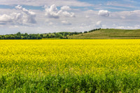 _7207916-HDR-Edit.jpg