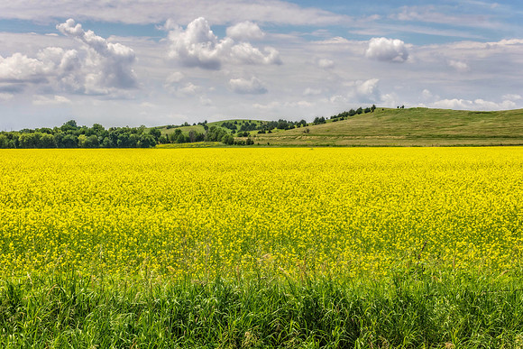 _7207916-HDR-Edit.jpg