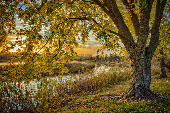 DSC_0100_HDR-Edit