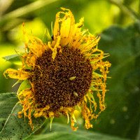 _7200117-Edit.jpg