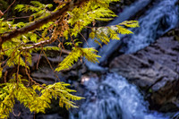 _7200195-HDR-Edit.jpg