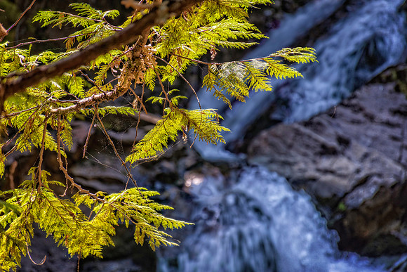 _7200195-HDR-Edit.jpg