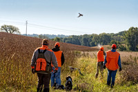 _DSC8575-Edit.jpg