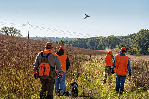 _DSC8575-Edit.jpg