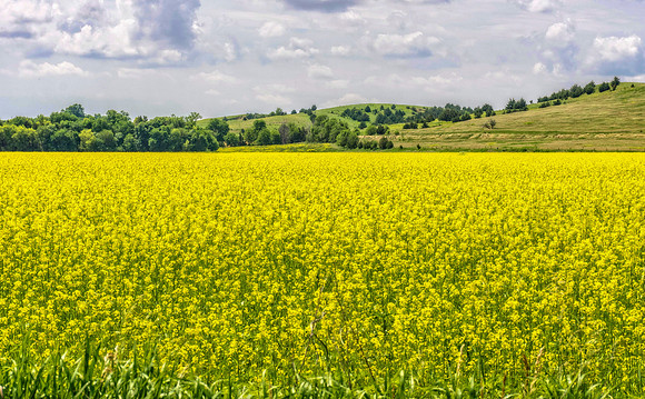 _7207913-HDR-Edit.jpg