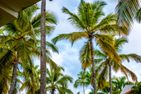 _DSC2037-HDR.jpg