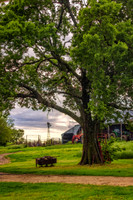 _7202831-Edit.jpg