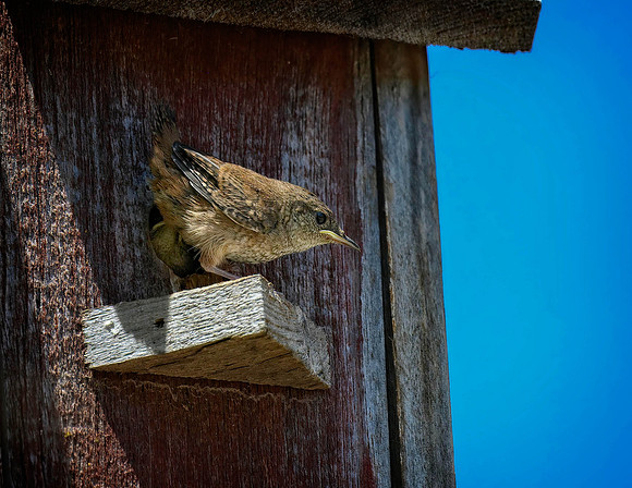 Z62_0648-Edit.jpg