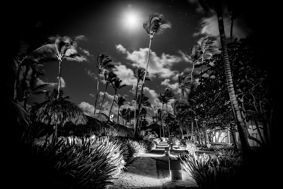 01,SE084,DB,Path_in_Paradise.jpg