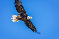 _7208775-Edit-Edit.jpg