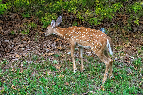 _7209475-Edit.jpg