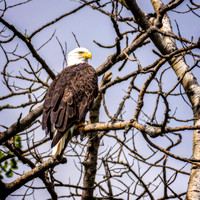 _7208896-Edit.jpg