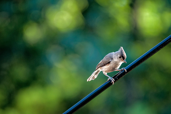 _DSC8036-Edit.jpg