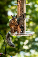 _DSC1367-Edit.jpg