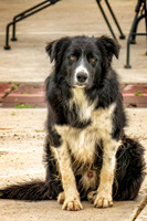 _7202788-Edit.jpg