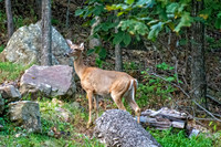 _7209479-Edit.jpg