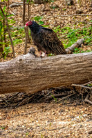 _7209647-Edit-Edit.jpg