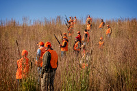 _DSC8552-Edit.jpg