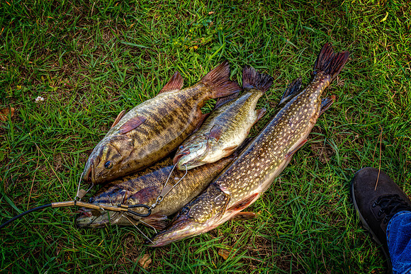 _7208986-Edit.jpg