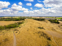 DJI_0223-Edit.jpg