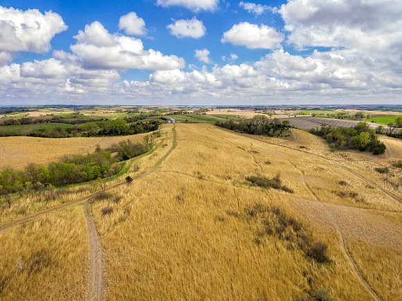DJI_0223-Edit.jpg