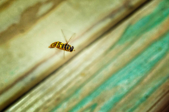 _7200310-Edit.jpg