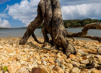 GOPR0608-Edit.jpg